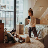 Kidywolf | Kidymic Karaoke Microfoon Roze