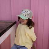 Hello Hossy Pet Adventure