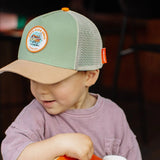 Hello Hossy Pet Surftrip