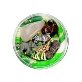 Invitation To Imagine Surprise Pot Safari