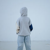 Repose Zip Hoodie Color Block