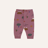 The Campamento Mountains Purple Baby Jogging